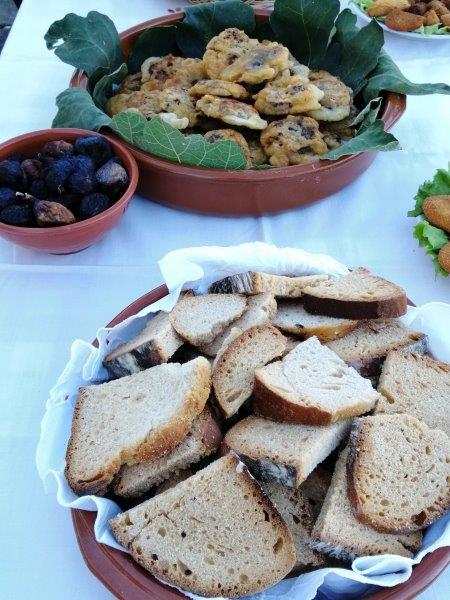 CMA Arquivo Mouriscas